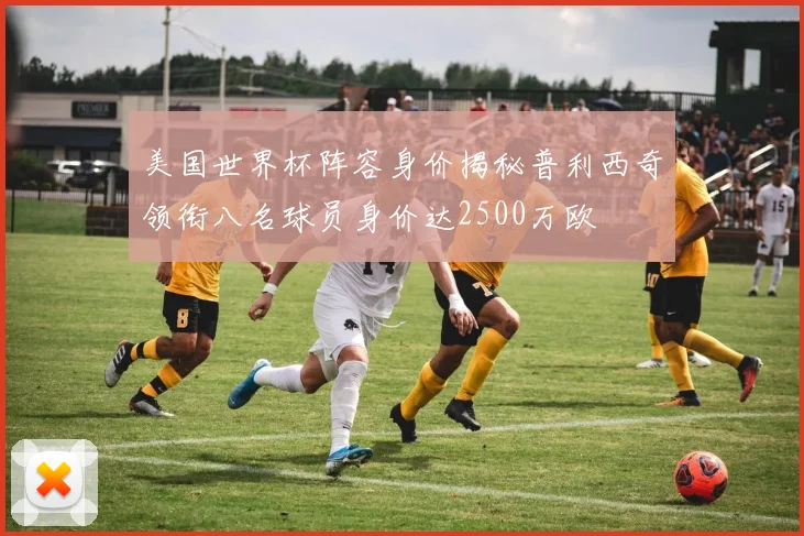 美国世界杯阵容身价揭秘普利西奇领衔八名球员身价达2500万欧